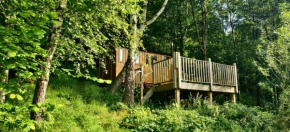 Cabin in the woods